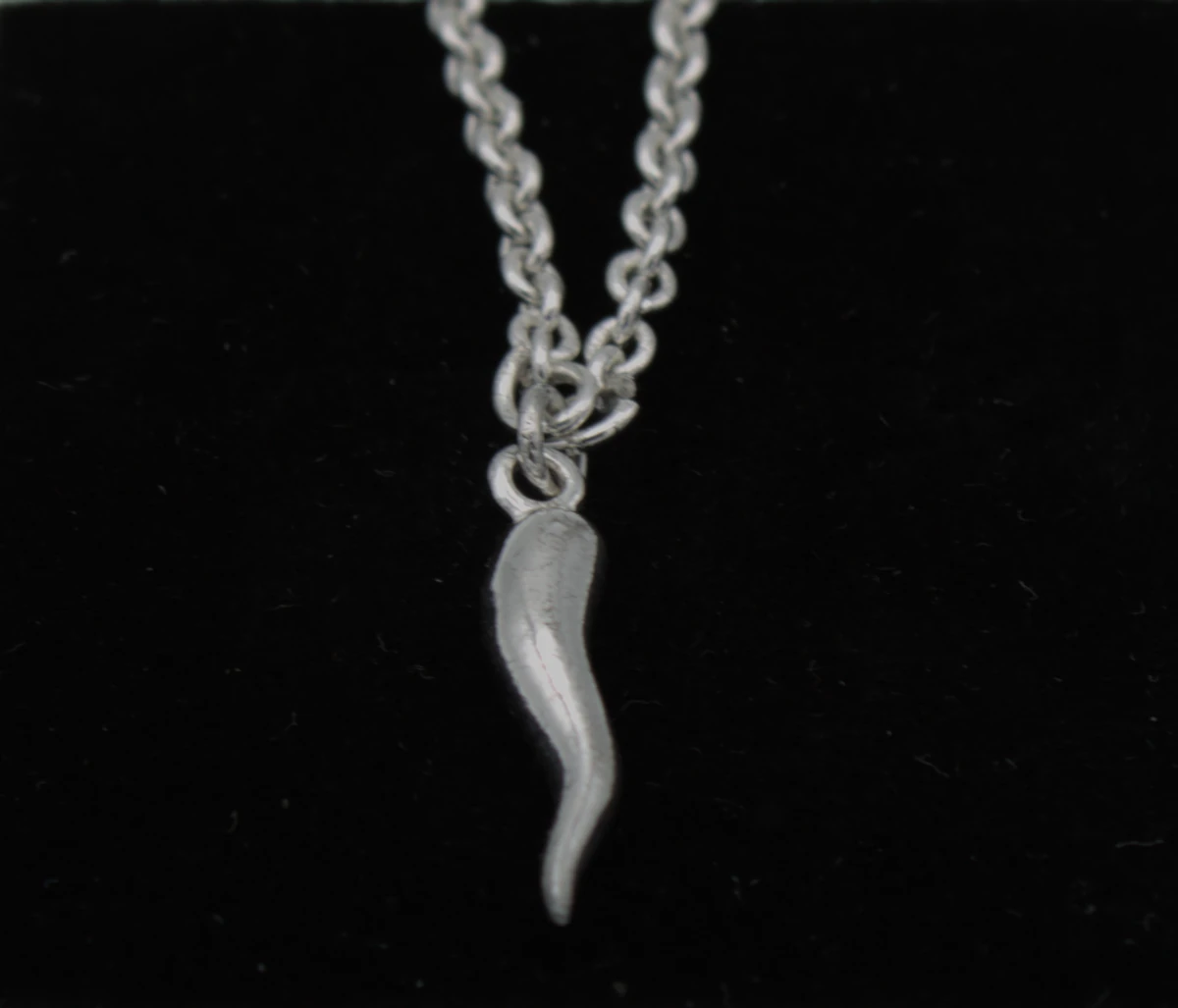 Italian Horn Silver Chain Necklace free with any purchase