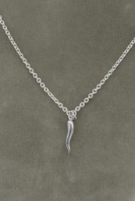 Silver Italian horn amulet on a 17 inch silver chain